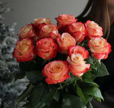 Букет из 13 роз 70 см Кабаре с лентой