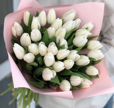 Букет из 35 белых тюльпанов в упаковке