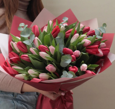 Букет из 35 розово-красных тюльпанов в упаковке