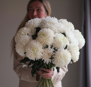 Букет из 15 хризантем Одноголовых