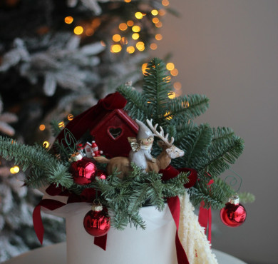 Композиция с нобилисом 