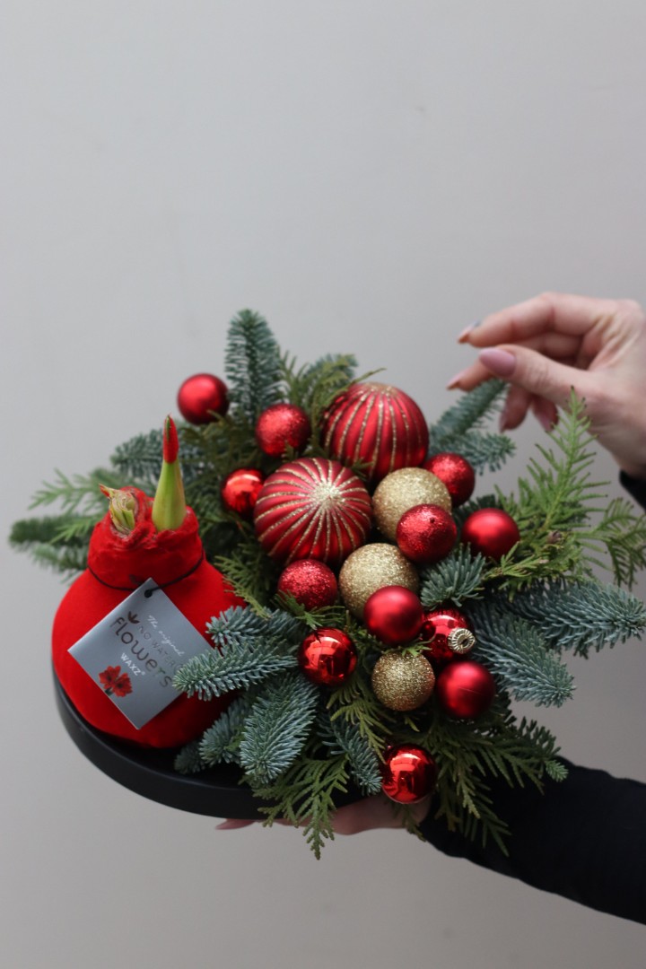 Композиция с амариллисом 