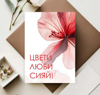 Карточка mini 